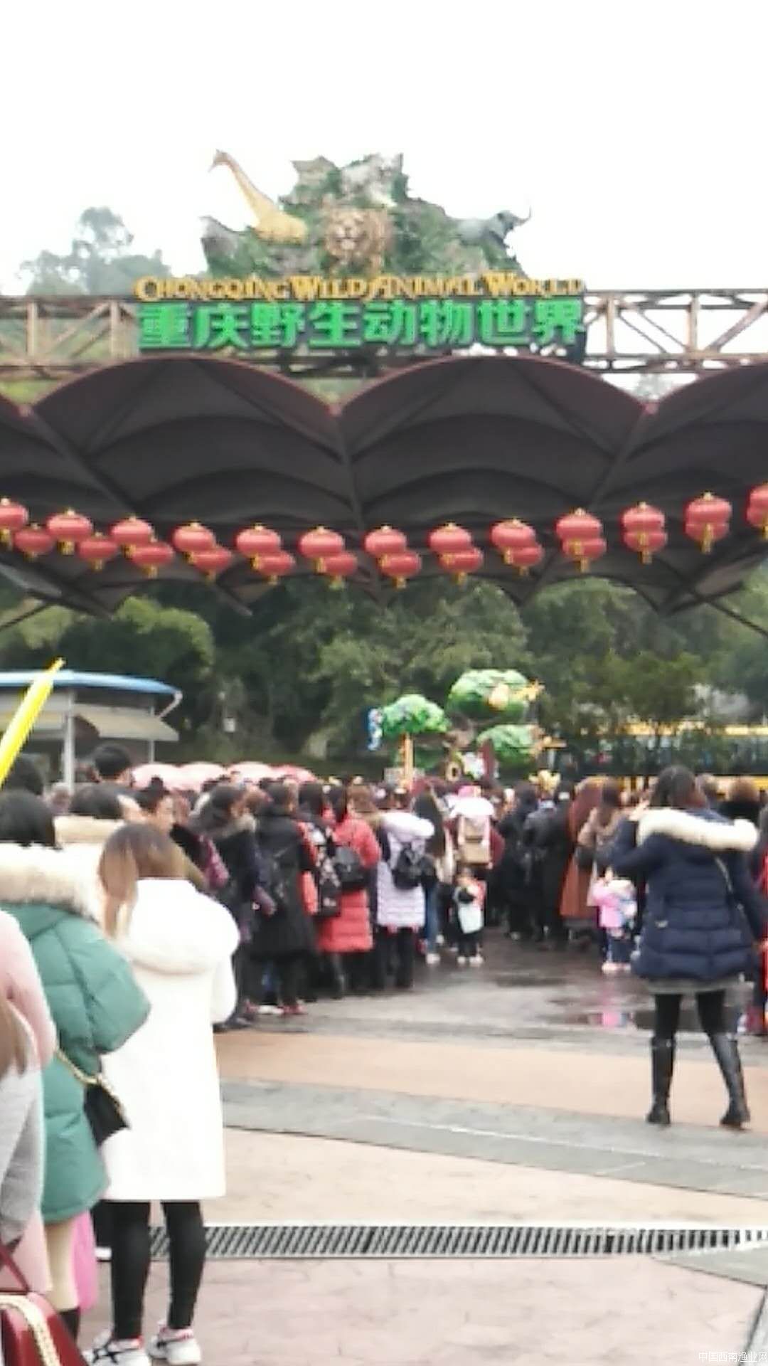 永川水花渔业会社"双庆祝"活动