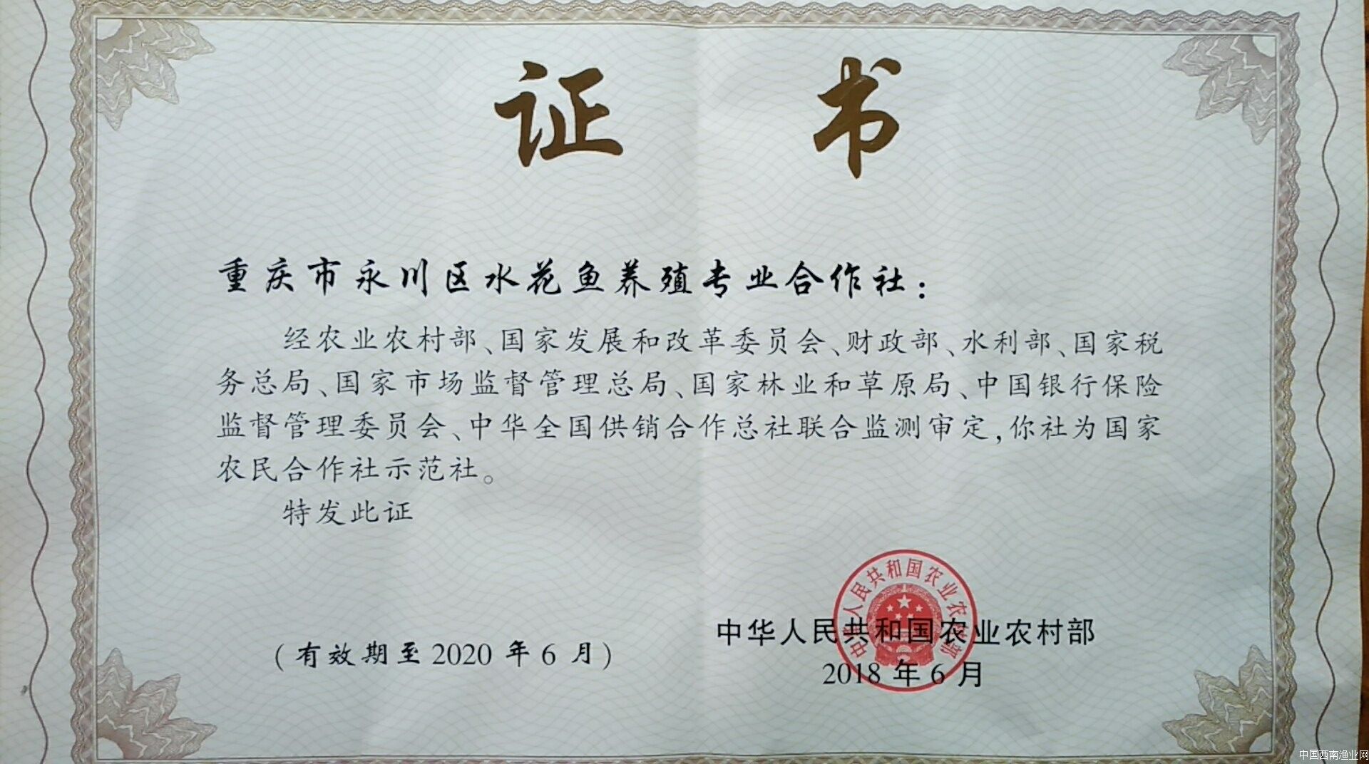 国家农民合作社示范社