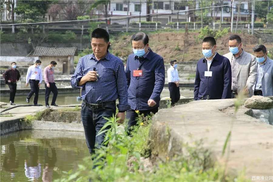 区政协主席刘祥全、区委常委、统战部部长宋文率区政协常委视察