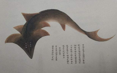 探索我国海鲜食品发展史,古代有哪些海鲜食品? 第2张 探索我国海鲜食品发展史,古代有哪些海鲜食品? 第2张