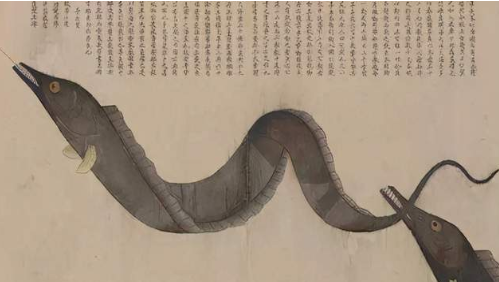 探索我国海鲜食品发展史,古代有哪些海鲜食品? 第4张 探索我国海鲜食品发展史,古代有哪些海鲜食品? 第4张